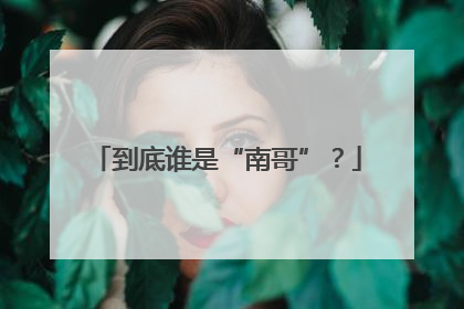 到底谁是“南哥”？