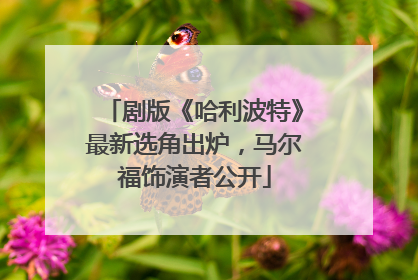 剧版《哈利波特》最新选角出炉，马尔福饰演者公开