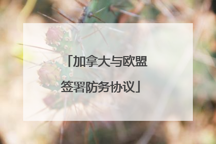 加拿大与欧盟签署防务协议