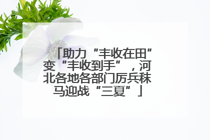 助力“丰收在田”变“丰收到手”，河北各地各部门厉兵秣马迎战“三夏”