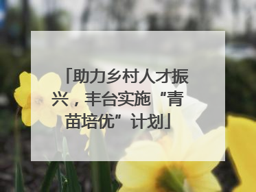 助力乡村人才振兴，丰台实施“青苗培优”计划