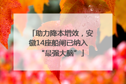 助力降本增效，安徽14座船闸已纳入“最强大脑”