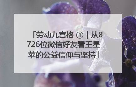 劳动九宫格 ①｜从8726位微信好友看王星苹的公益信仰与坚持