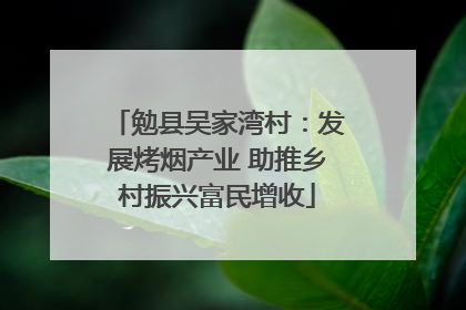 勉县吴家湾村：发展烤烟产业 助推乡村振兴富民增收
