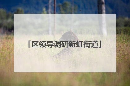 区领导调研新虹街道