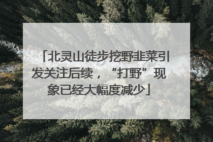 北灵山徒步挖野韭菜引发关注后续，“打野”现象已经大幅度减少