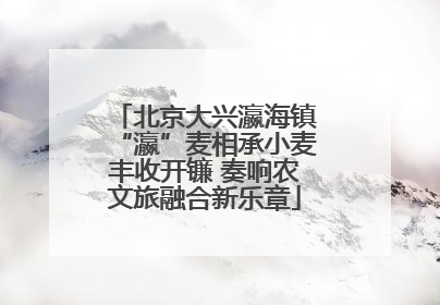 北京大兴瀛海镇“瀛”麦相承小麦丰收开镰 奏响农文旅融合新乐章