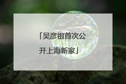 吴彦祖首次公开上海新家