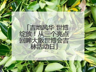 吉地风华 世博绽放！从三个亮点回眸大阪世博会吉林活动日