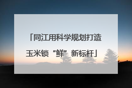 同江用科学规划打造玉米锁“鲜”新标杆