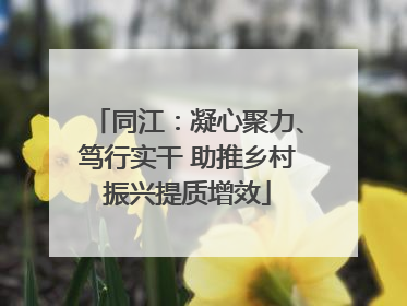 同江：凝心聚力、笃行实干 助推乡村振兴提质增效