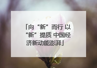 向“新”而行 以“新”提质 中国经济新动能澎湃