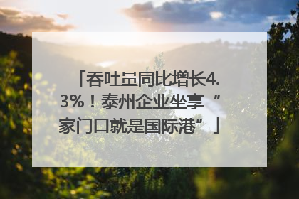 吞吐量同比增长4.3%！泰州企业坐享“家门口就是国际港”