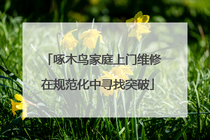 啄木鸟家庭上门维修在规范化中寻找突破
