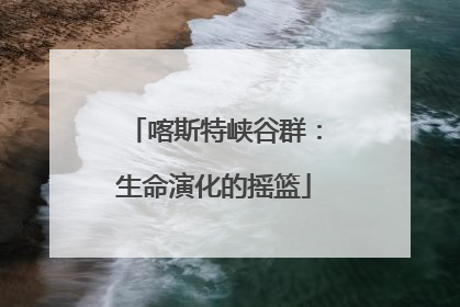 喀斯特峡谷群：生命演化的摇篮