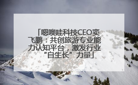 嗯噢哇科技CEO窦飞鹏：共创旅游专业能力认知平台，激发行业“自生长”力量