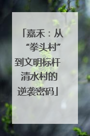 嘉禾：从“拳头村”到文明标杆 清水村的逆袭密码