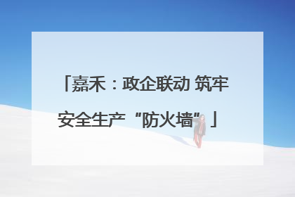 嘉禾：政企联动 筑牢安全生产“防火墙”
