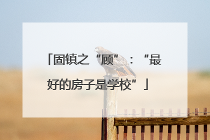固镇之“顾”：“最好的房子是学校”