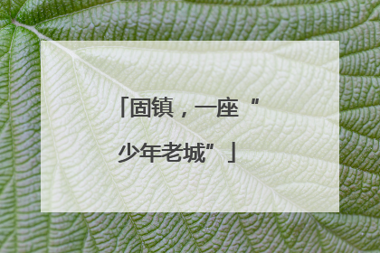固镇，一座“少年老城”