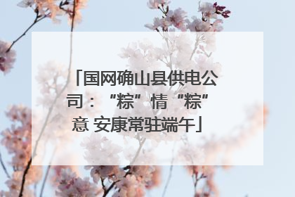 国网确山县供电公司：“粽”情“粽”意 安康常驻端午
