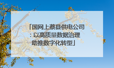 国网上蔡县供电公司：以高质量数据治理 助推数字化转型