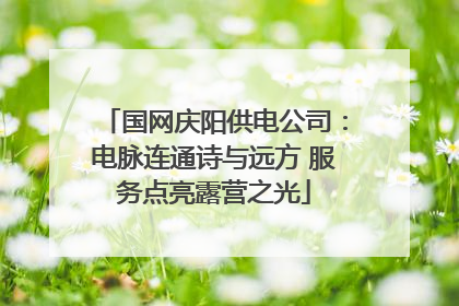 国网庆阳供电公司：电脉连通诗与远方 服务点亮露营之光