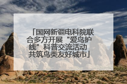 国网新疆电科院联合多方开展“爱鸟护线”科普交流活动 共筑鸟类友好城市