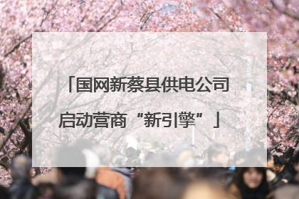 国网新蔡县供电公司启动营商“新引擎”
