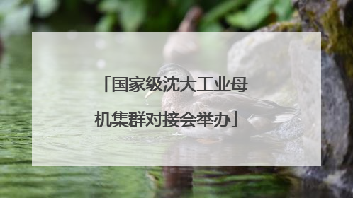 国家级沈大工业母机集群对接会举办