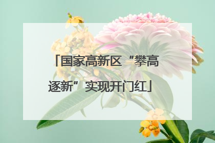 国家高新区“攀高逐新”实现开门红