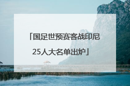 国足世预赛客战印尼25人大名单出炉