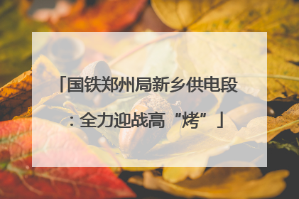 国铁郑州局新乡供电段：全力迎战高“烤”