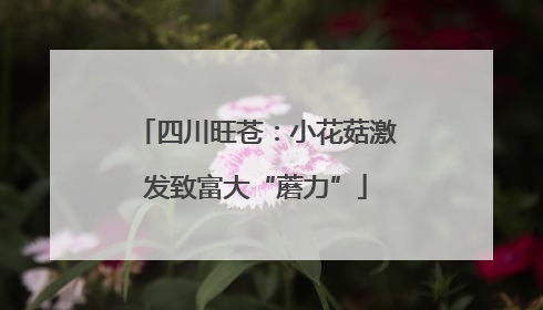 四川旺苍：小花菇激发致富大“蘑力”