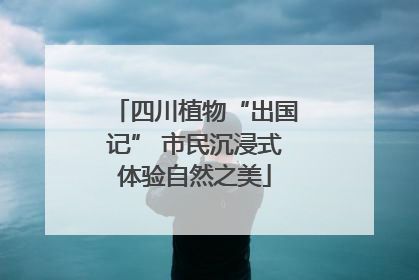 四川植物“出国记” 市民沉浸式体验自然之美