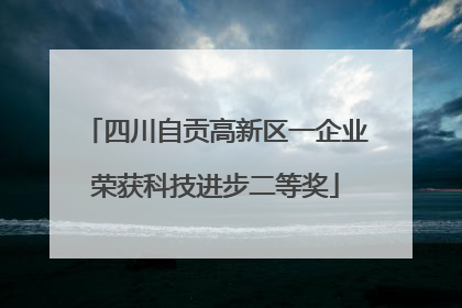 四川自贡高新区一企业荣获科技进步二等奖