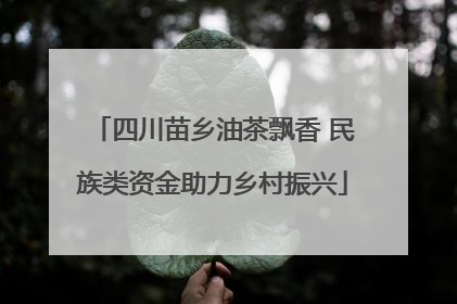 四川苗乡油茶飘香 民族类资金助力乡村振兴