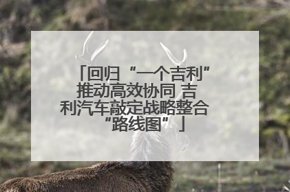 回归“一个吉利” 推动高效协同 吉利汽车敲定战略整合“路线图”