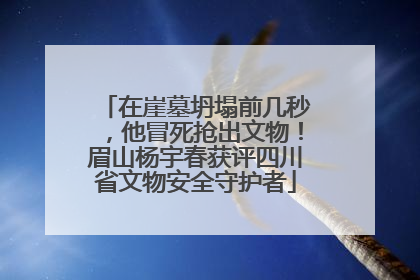 在崖墓坍塌前几秒，他冒死抢出文物！眉山杨宇春获评四川省文物安全守护者