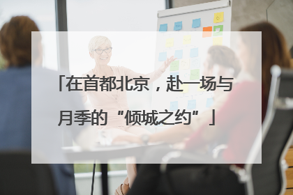 在首都北京，赴一场与月季的“倾城之约”