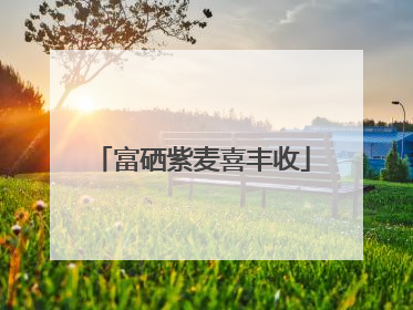 富硒紫麦喜丰收