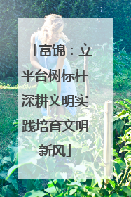 富锦：立平台树标杆深耕文明实践培育文明新风