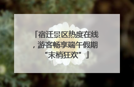 宿迁景区热度在线，游客畅享端午假期“末梢狂欢”