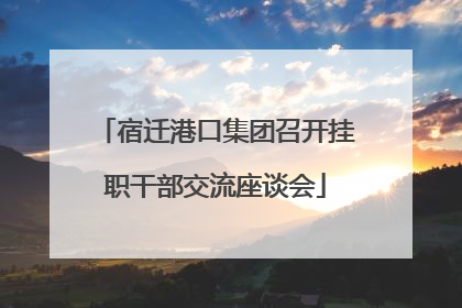 宿迁港口集团召开挂职干部交流座谈会