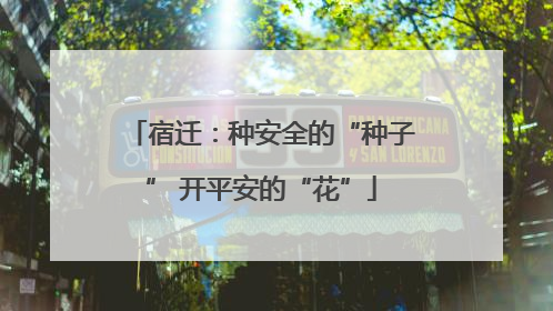 宿迁：种安全的“种子” 开平安的“花”