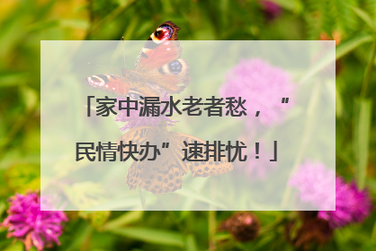 家中漏水老者愁，“民情快办”速排忧！