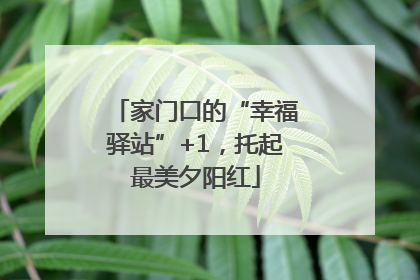 家门口的“幸福驿站”+1，托起最美夕阳红