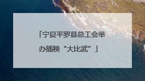 宁夏平罗县总工会举办插秧“大比武”