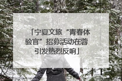 宁夏文旅“青春体验官”招募活动在蓉引发热烈反响