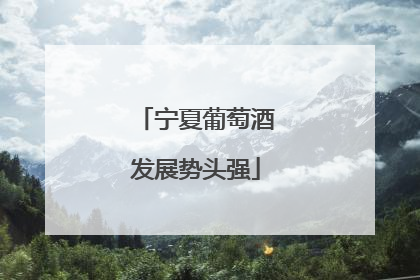 宁夏葡萄酒发展势头强